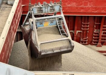 Рекордный урожай зерна под угрозой: аграрии предупреждают о катастрофе