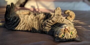 Гололедица и мокрый снег: синоптик назвала опасные дни для украинцев