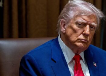 Трамп поставил Зеленского перед сложным выбором: какой “обмен” таится в мирном плане