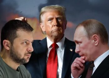 Битва за сознание Трампа: как Зеленский и Путин ведут скрытую дипломатическую войну
