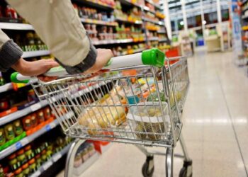 Обогнала Китай: Польша стала главным покупателем украинского продукта