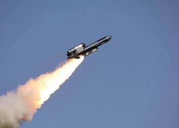 Украинские военные получили партию “Фламинго”: новые фото крылатых ракет