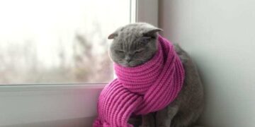 Погода в декабре: синоптик рассказал, ждать ли снега и морозов