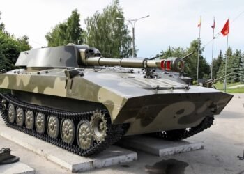 Десантники показали видео уничтожения российской САУ “Гвоздика” на Курщине