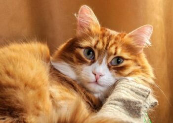 Морозы отступают, но есть нюанс: синоптики предупредили о погодной ловушке