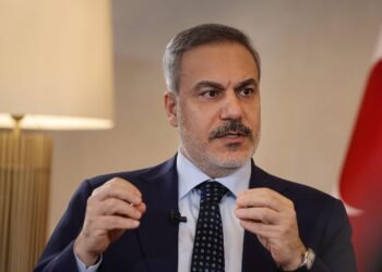 Европа должна помочь Украине сделать непростой выбор, – МИД Турции