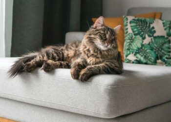 Без дождей не обойдется: синоптики предупредили о погодных “сюрпризах”