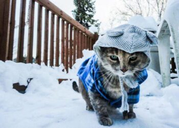 В Украину идут настоящие морозы: какой погоды ждать на следующей недели