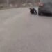 Розбите скло і затримання: у Києві водій поранив поліцейського