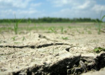 Климатическая угроза: часть Украины может уйти под воду из-за глобального потепления