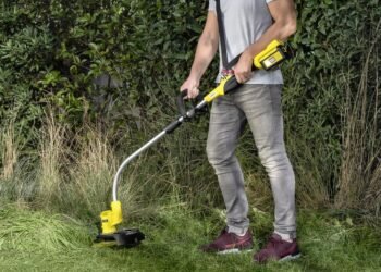 Садова техніка для догляду: які інструменти полегшать роботу на ділянці