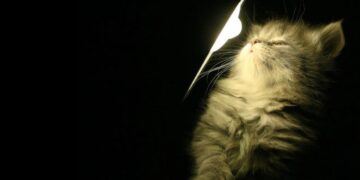 Київ накриває темрява: масові відключення світла і загроза зупинки транспорту