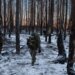 Россияне накапливаются в Серебрянском лесу и пытаются обойти Дроновку