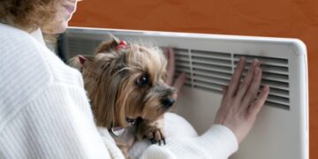 Киевляне уже живут в “постапокалипсисе”: Попенко отреагировал на призывы Кличко к эвакуации