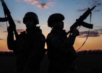 Защита прав в ВСУ: пошаговая инструкция, как подать электронную жалобу Военному омбудсмену