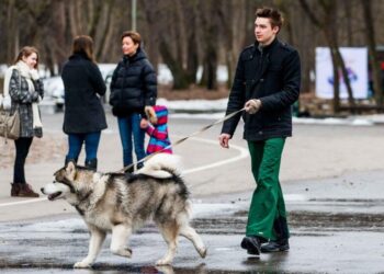 В Украине ударят морозы до -23 и выпадет снег: украинцев ждет ухудшение погоды