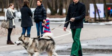 В Украине ударят морозы до -23 и выпадет снег: украинцев ждет ухудшение погоды