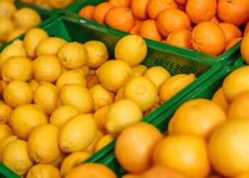 Витаминная корзина: какие фрукты в Украине подорожают, а какие станут доступнее к концу зимы