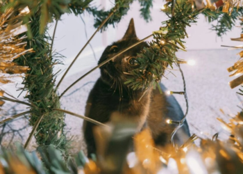 Гуляют циклоны: Украина попадет под мощный погодный удар