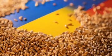 Польша и еще три страны выдвинули ЕС ультиматум по торговле с Украиной