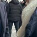 Таємниця короткого візиту: чому Туск знову приїхав до Києва