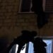 Агентурная группа РФ готовила убийства медийщиков, активистов и бойцов ГУР: Нацполиция провела спецоперацию