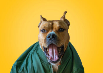 Морозы до -19 и “желтый” уровень опасности: синоптики дали тревожный прогноз погоды