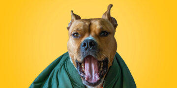 Морозы до -19 и “желтый” уровень опасности: синоптики дали тревожный прогноз погоды