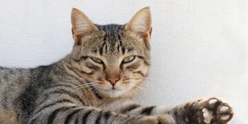 Финал зимы близок: в Украину ворвется аномальное потепление