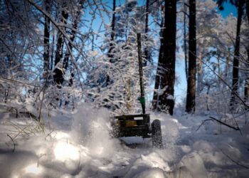 Спецсчет НБУ: сколько потратили на оборонный сектор в январе