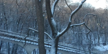 Зупинка на висоті 75 метрів: у центрі Києва стався транспортний збій