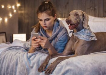 “Графики отключений” с вирусом: Укрэнерго предупредило украинцев об опасности