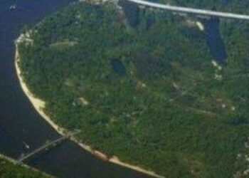 Зелені легені Києва можуть зникнути: прокуратура б’є на сполох