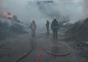 У Києві локалізували масштабну пожежу в Голосіївському районі – ДСНС показала кадри