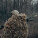 На фронті побільшало боїв за добу, третина штурмів на двох напрямках – карта від Генштабу