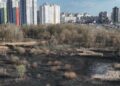 Вогонь охоплює Київ: за день вигоріло майже 15 тисяч “квадратів” екосистем