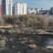 Вогонь охоплює Київ: за день вигоріло майже 15 тисяч “квадратів” екосистем