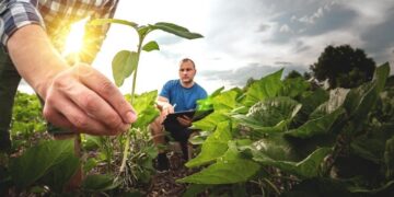 Правительство разрабатывает новую программу беспроцентного кредитования аграриев и запускает механизм агрострахования.