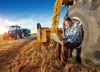 В Украине пять небанковских финучреждений смогут выдавать кредиты фермерам под государственные гарантии.