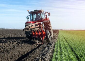 Не только нефть: блокада Персидского залива срывает мировую посевную кампанию