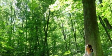 Кліщі у столичних парках: що потрібно знати киянам під час прогулянок