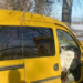 Смертельний удар і зламане дерево: на Київщині розслідують нещасний випадок, – ФОТО