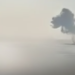 Сильний вибух і чорний дим над водою: що сталось поблизу Києва, – ВІДЕО