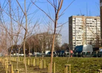 Київ – місто сад: як триває масштабне озеленення, – ФОТО