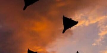 Київ під атакою: падіння БпЛА обернулося ДТП і вогнем