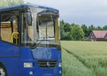 Депутаты скрыли имущество: суды вынесли решения во Львовской и Полтавской областях