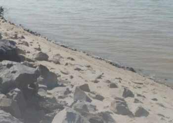 Директор предприятия завысил расходы на укрепление берега — дело в суде