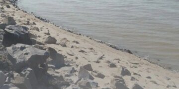 Директор предприятия завысил расходы на укрепление берега — дело в суде