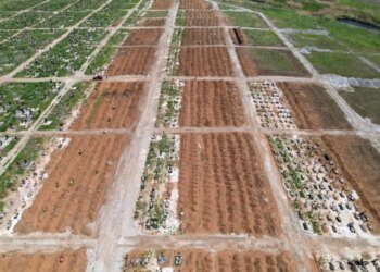 Стоянка на братской могиле: оккупанты ликвидировали в Мангуше  место массового погребения мариупольцев. ФОТО