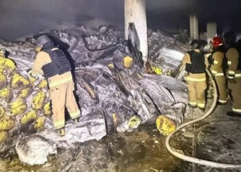 Россия нанесла удар по портовой инфраструктуре Одесской области: повреждены причалы и склады. ФОТО